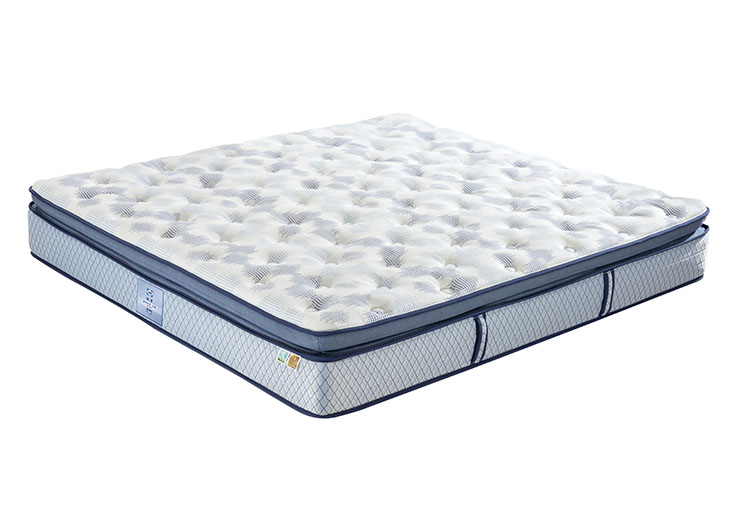 22_0003_dsc0187 拷贝 2